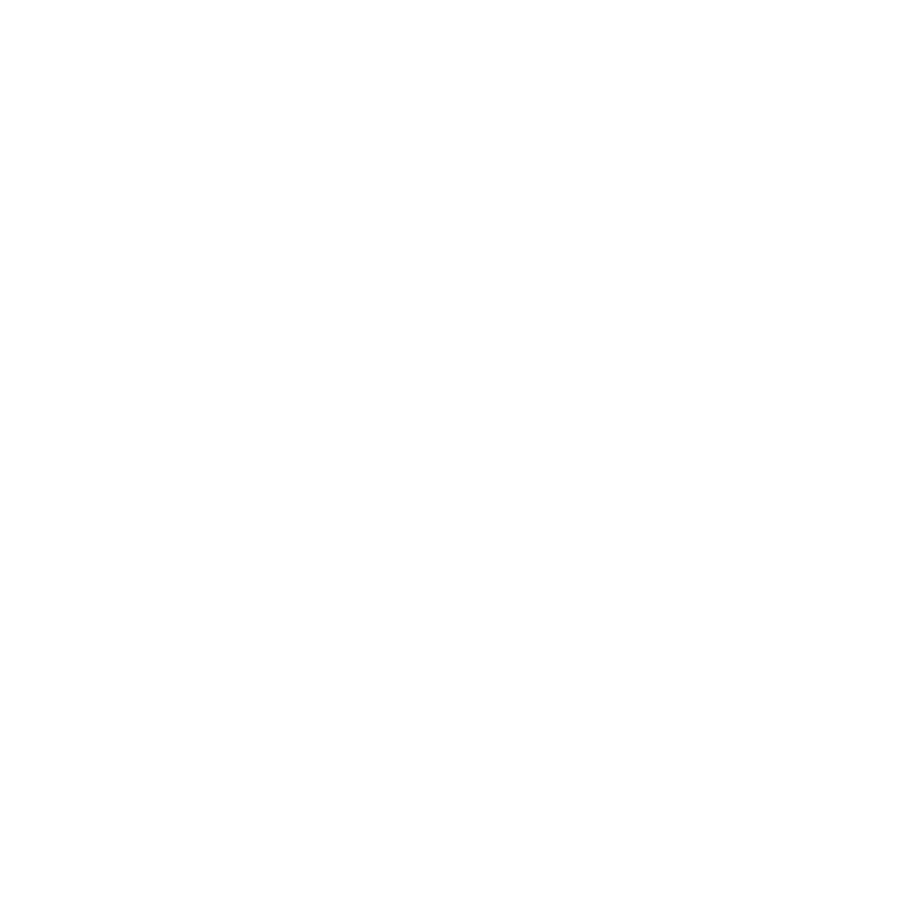 tiktok icon white